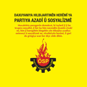 site için çeim bildirgesi.indd